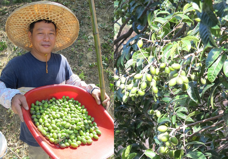 1759983944165481.jpg 4.jpg