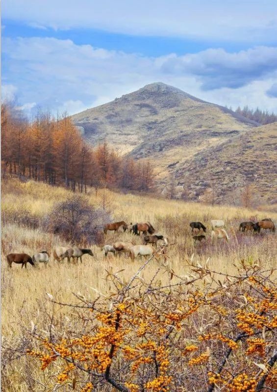 1760407566782036.jpg 1760407566782036.jpg