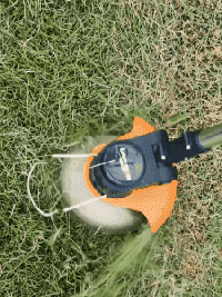 1760492245674724.gif 1760492245674724.gif