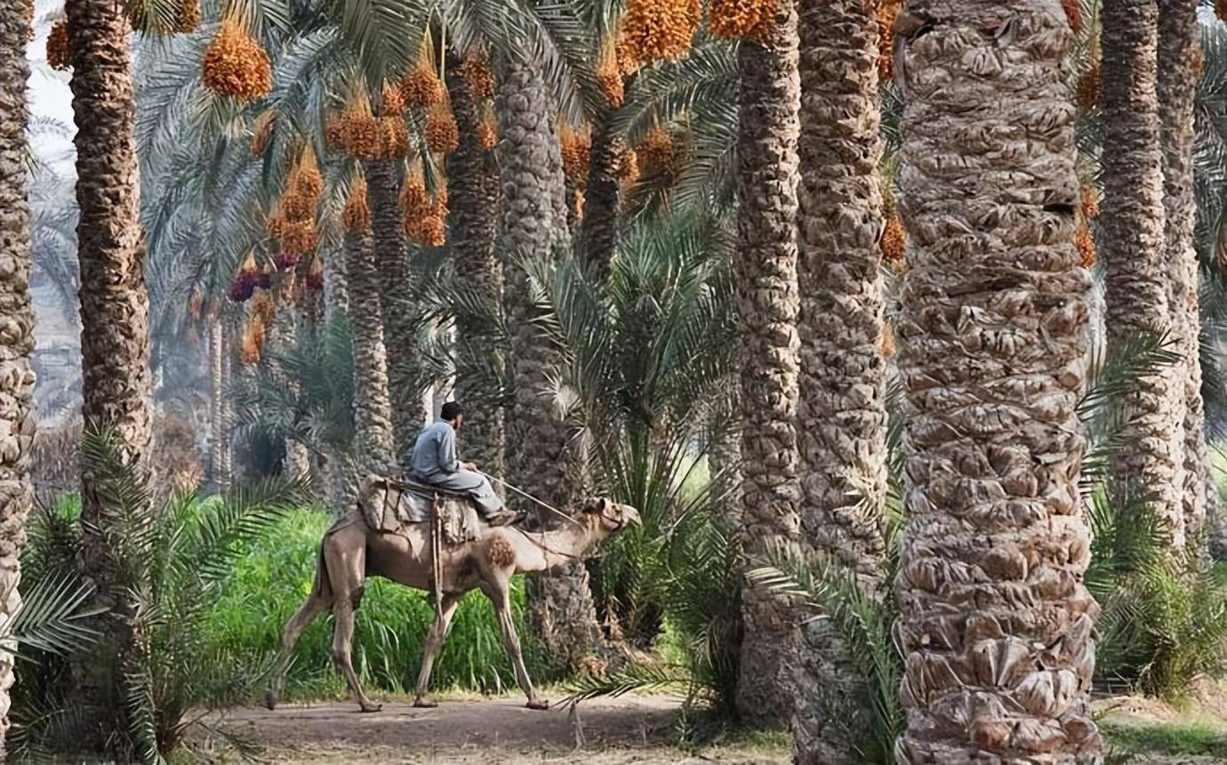 1760493765884389.jpg 1760493765884389.jpg