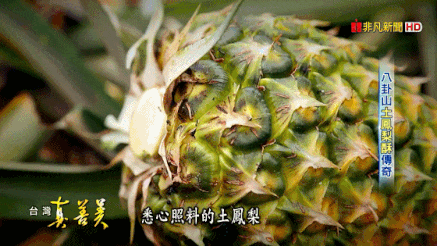 1760513200112497.gif 1760513200112497.gif