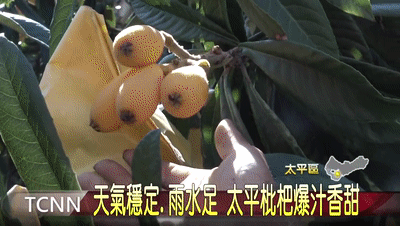 1761114968809790.gif 1761114968809790.gif