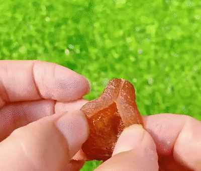 1761115065847724.gif 1761115065847724.gif