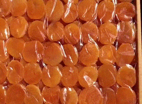 1761115104174019.gif 1761115104174019.gif