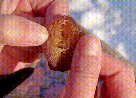 1761115169933231.gif 1761115169933231.gif