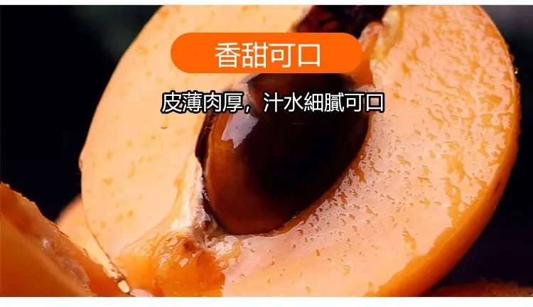 1761115313302330.jpg imgi_30_1736863628820220.jpg