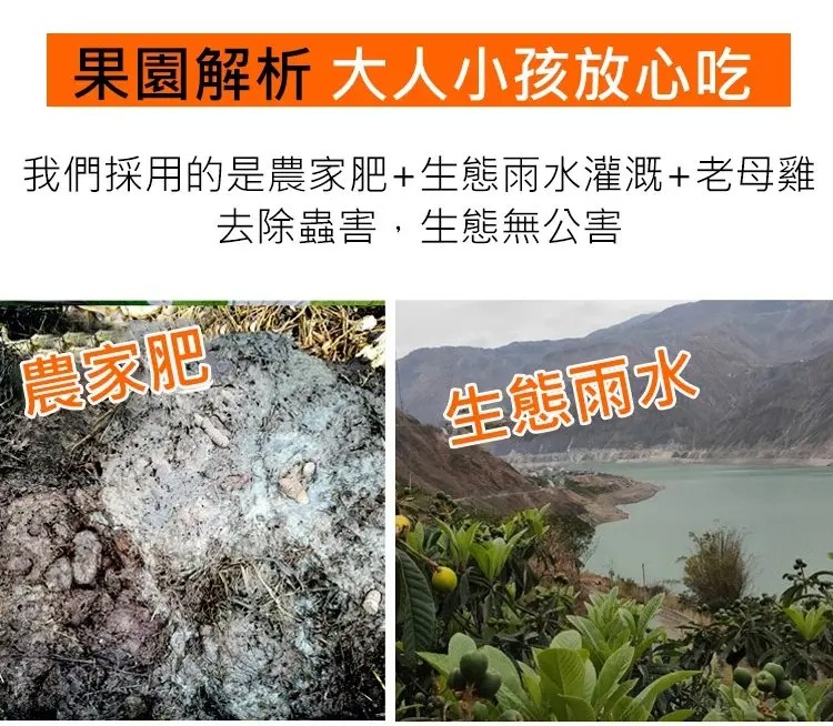 1761115415777632.jpg imgi_34_1736863667859125.jpg